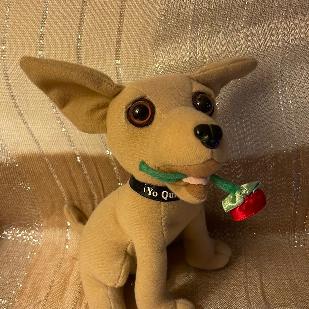 Taco Bell- chihuahua with ribbon rose